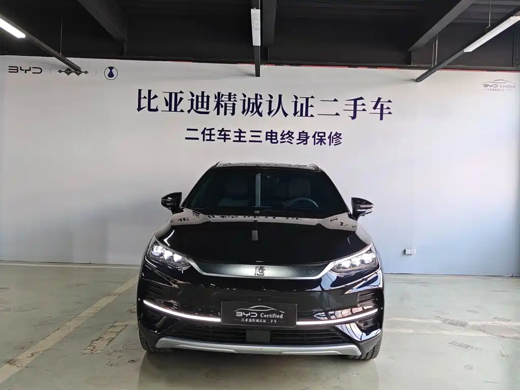 BYD Tang New Energy — миниатюра 2