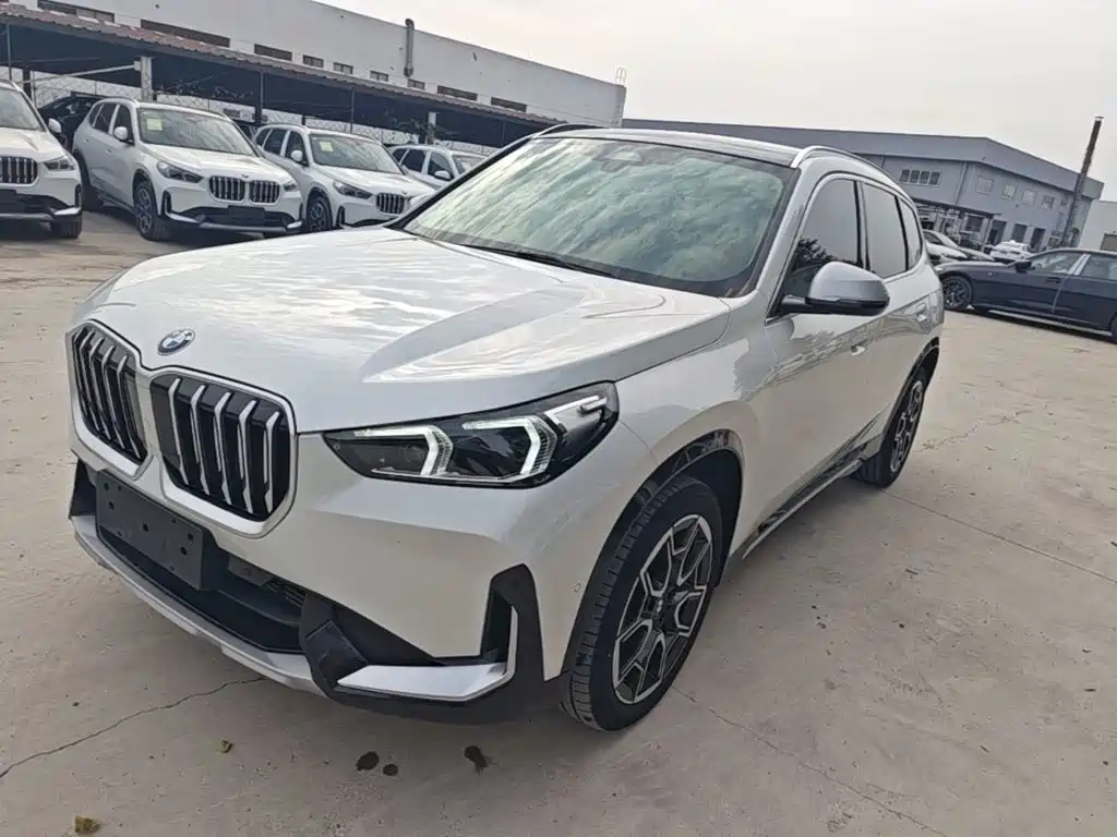 BMW X1 — миниатюра 2