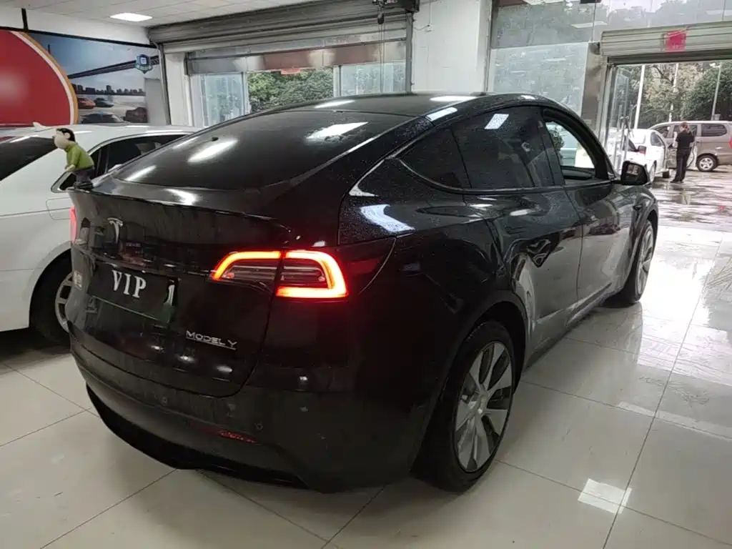 Tesla Model Y — миниатюра 7