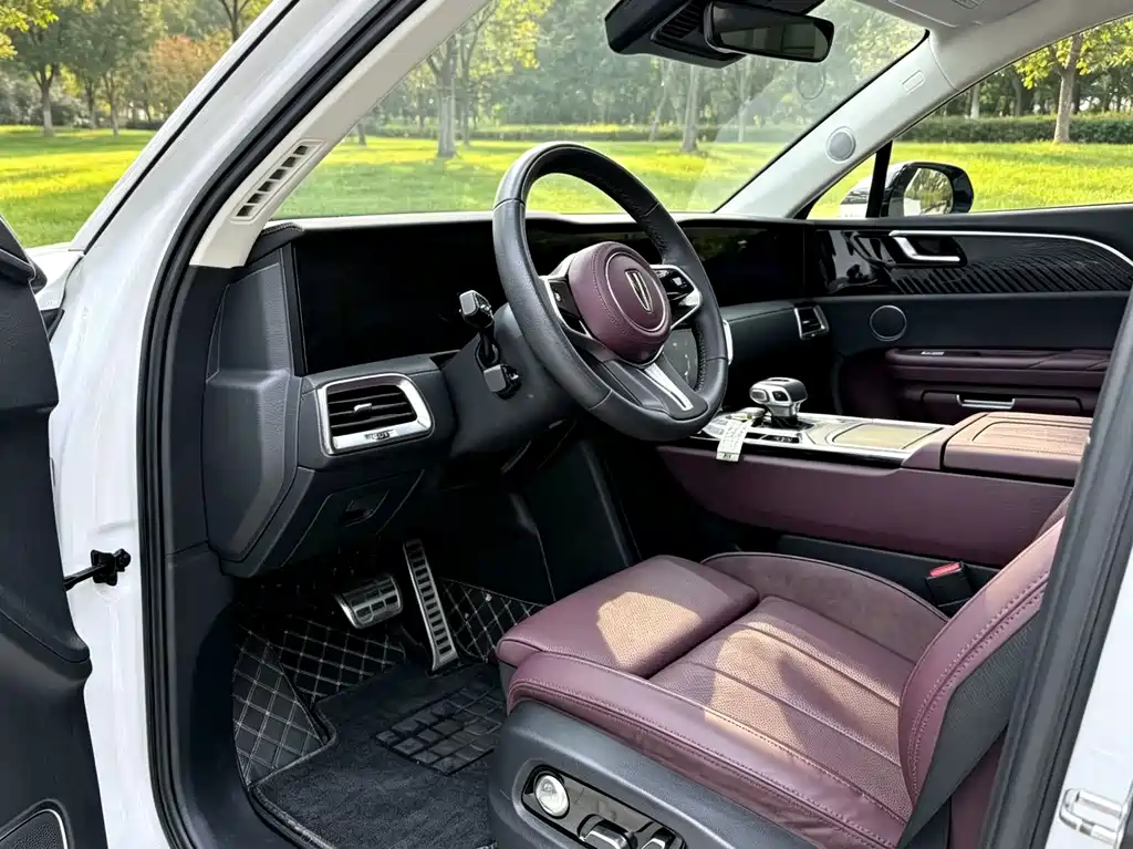 Hongqi Hongqi E-HS9 — миниатюра 9