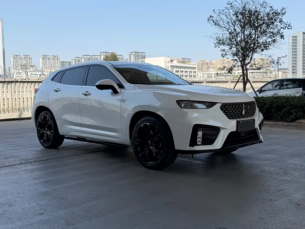 WEI PAI WEI BRAND VV7