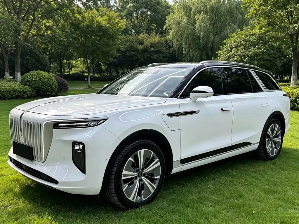 Hongqi Hongqi E-HS9