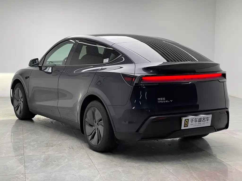 Tesla Model Y — миниатюра 4