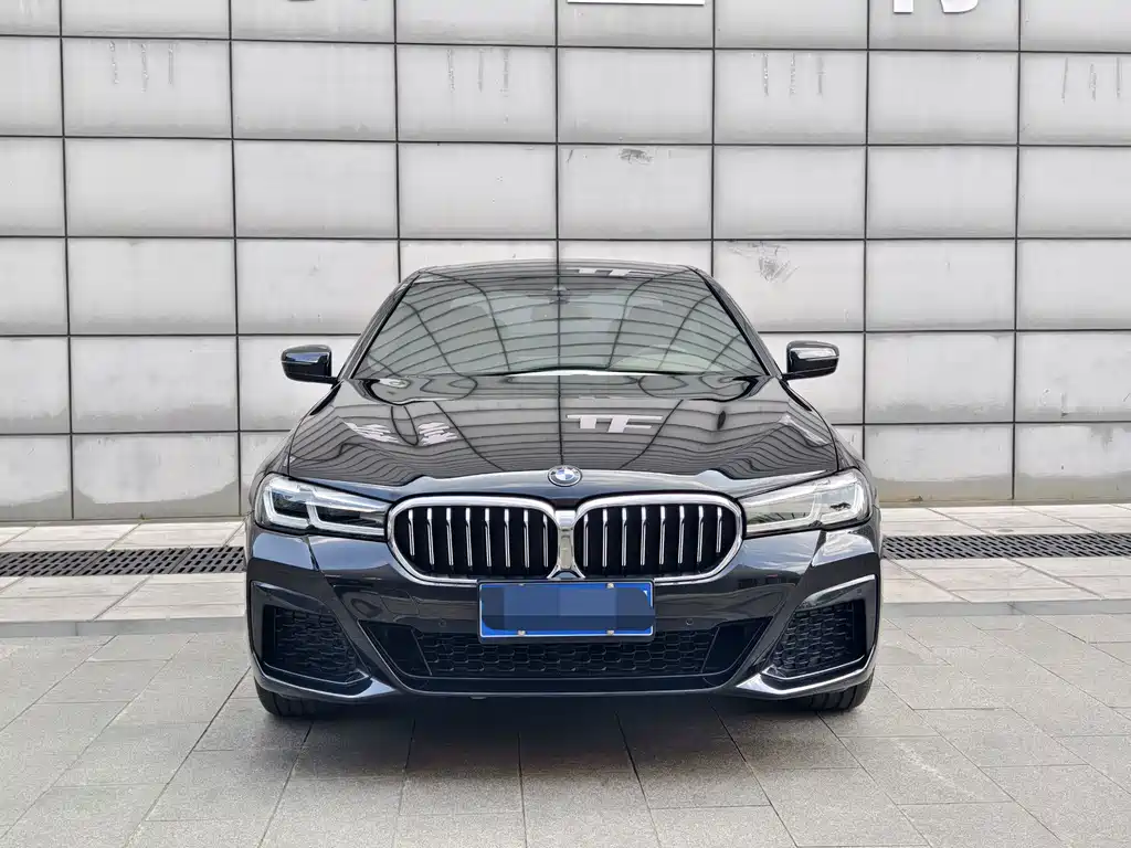 BMW 5 Series — миниатюра 2