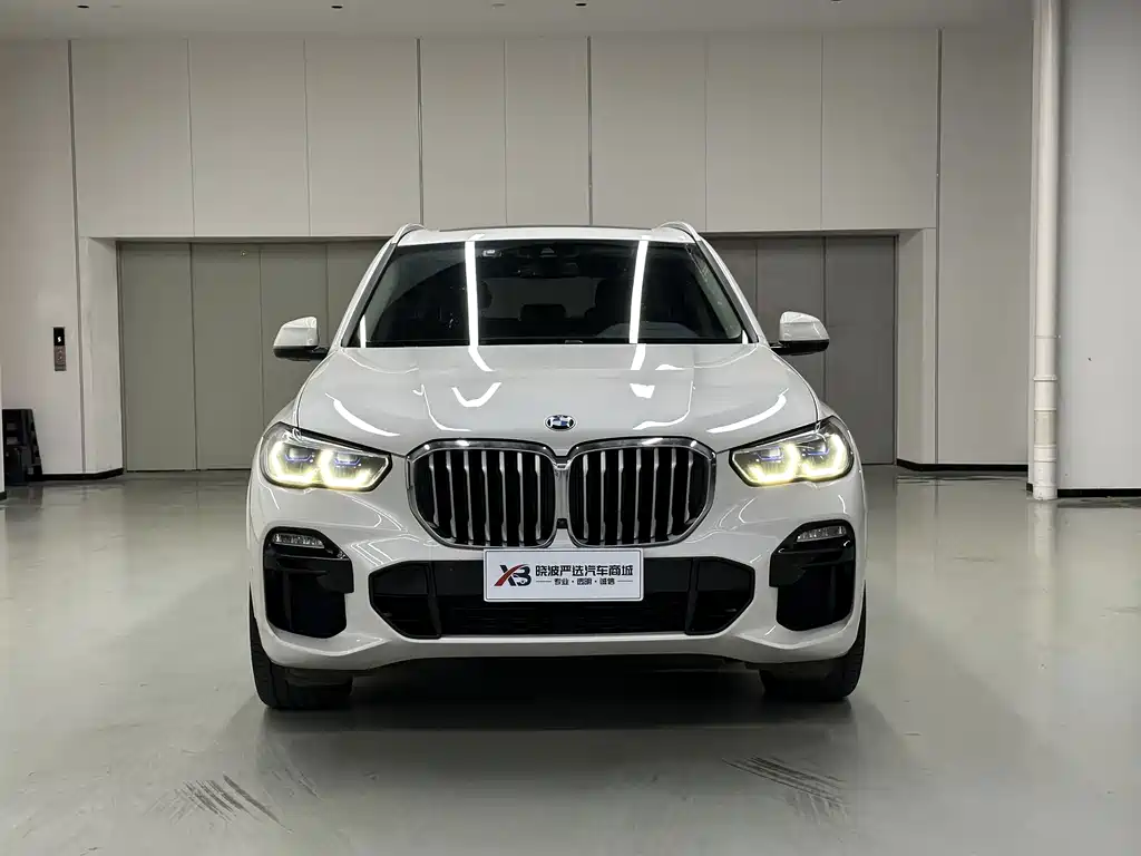 BMW X5 (Import) — миниатюра 3