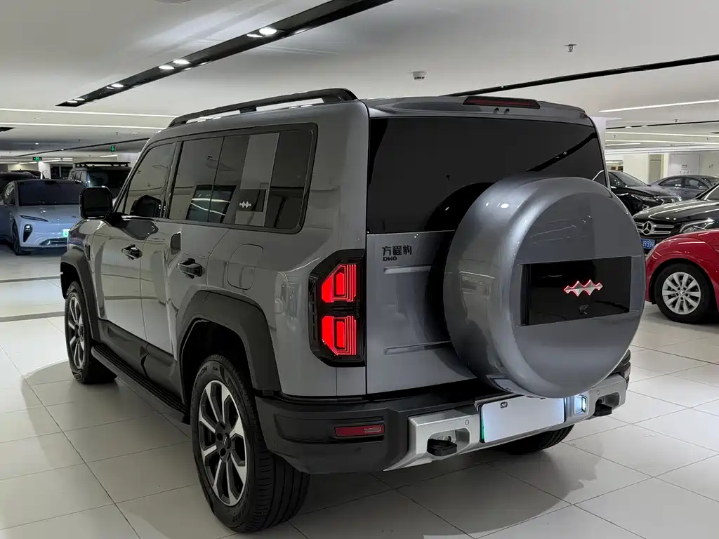 FANG CHENG BAO LEOPARD 5