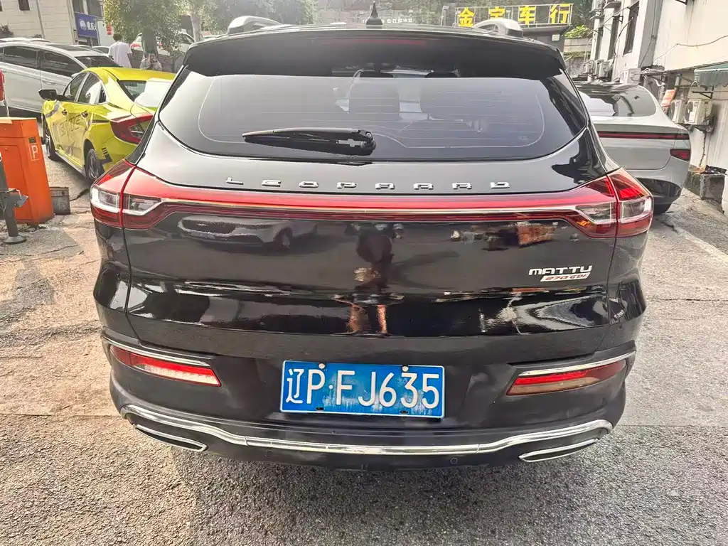 Leopaard Mattu — миниатюра 9