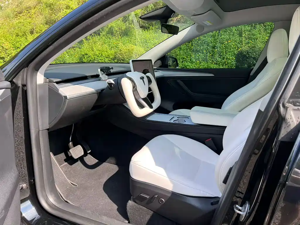 Tesla Model Y — миниатюра 3