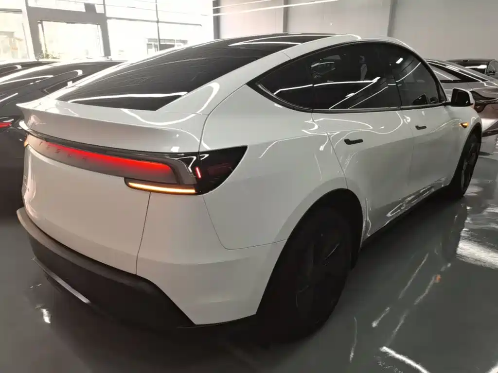 Tesla Model Y — миниатюра 7