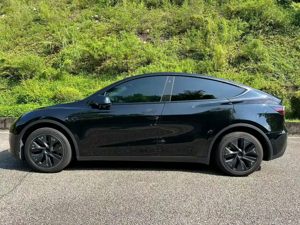 Tesla Model Y — миниатюра 7