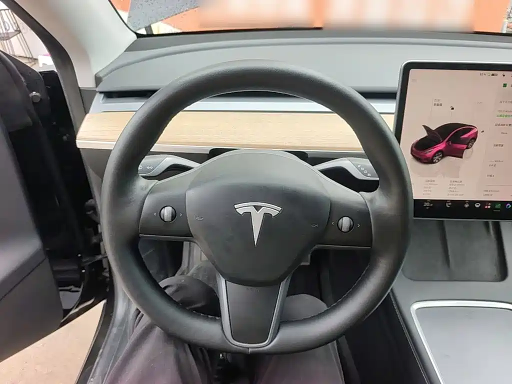 Tesla Model Y — миниатюра 11
