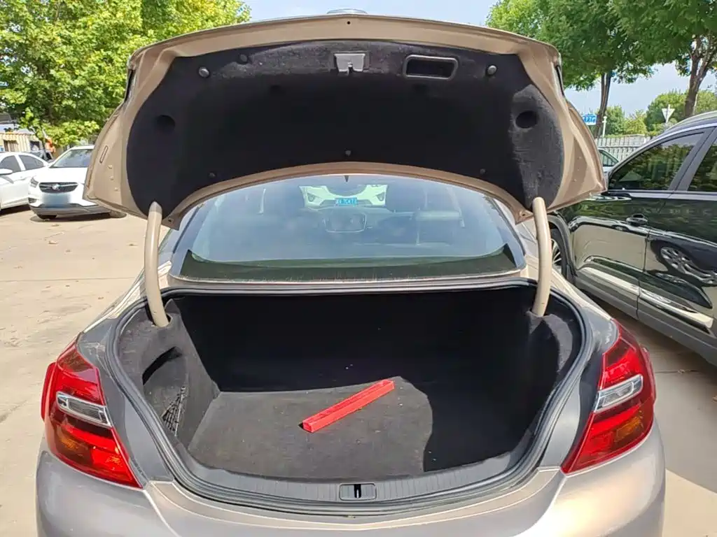 Buick Regal — миниатюра 19