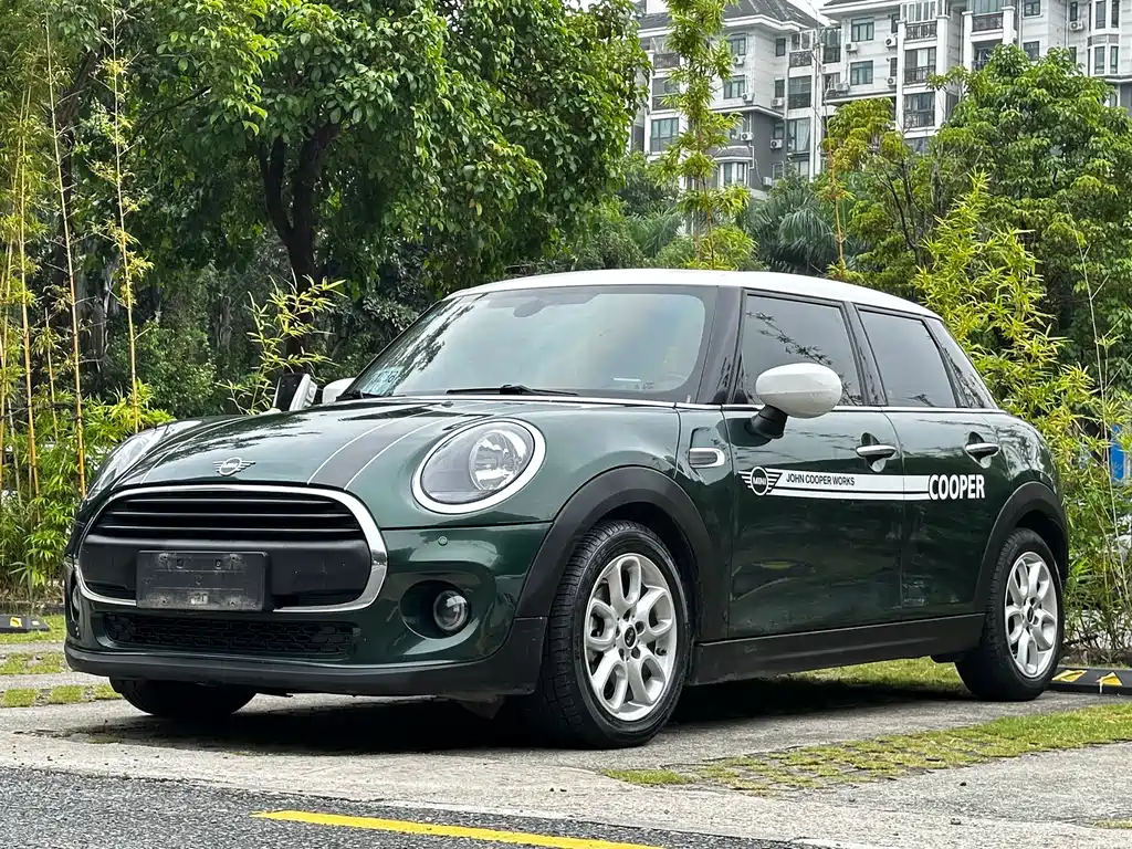 Mini Mini 2020