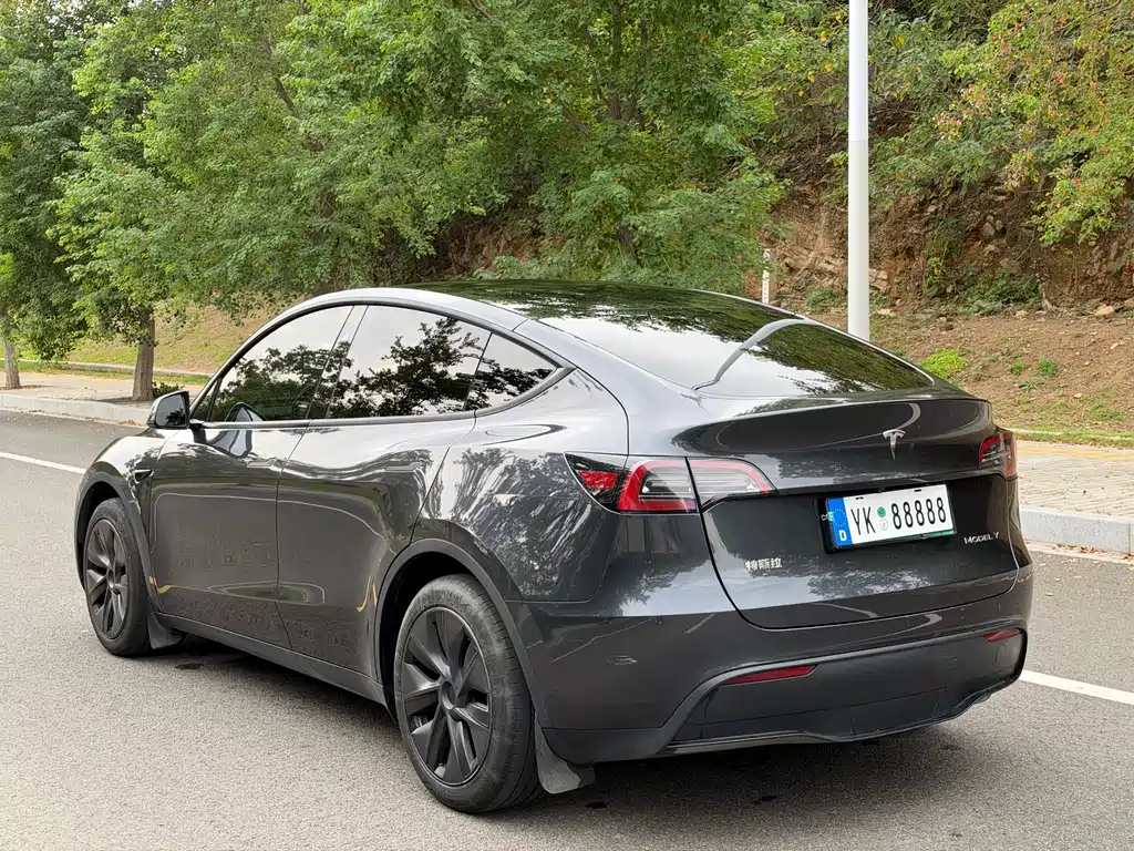 Tesla Model Y — миниатюра 5