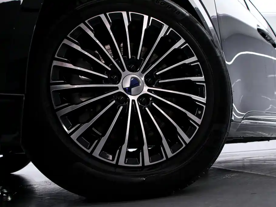 Denza Denza D9 — миниатюра 20