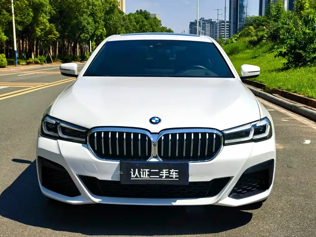 BMW 5 Series — миниатюра 2