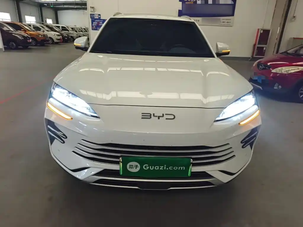 BYD PLUS New Energy — миниатюра 3