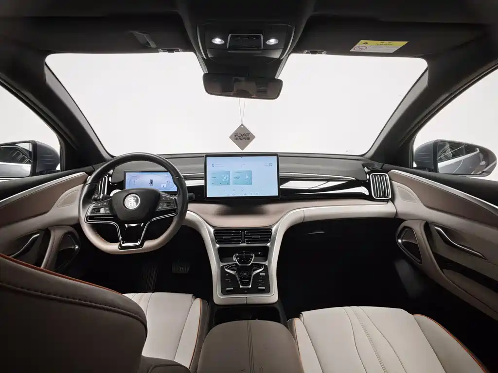 BYD Pro New Energy — миниатюра 16