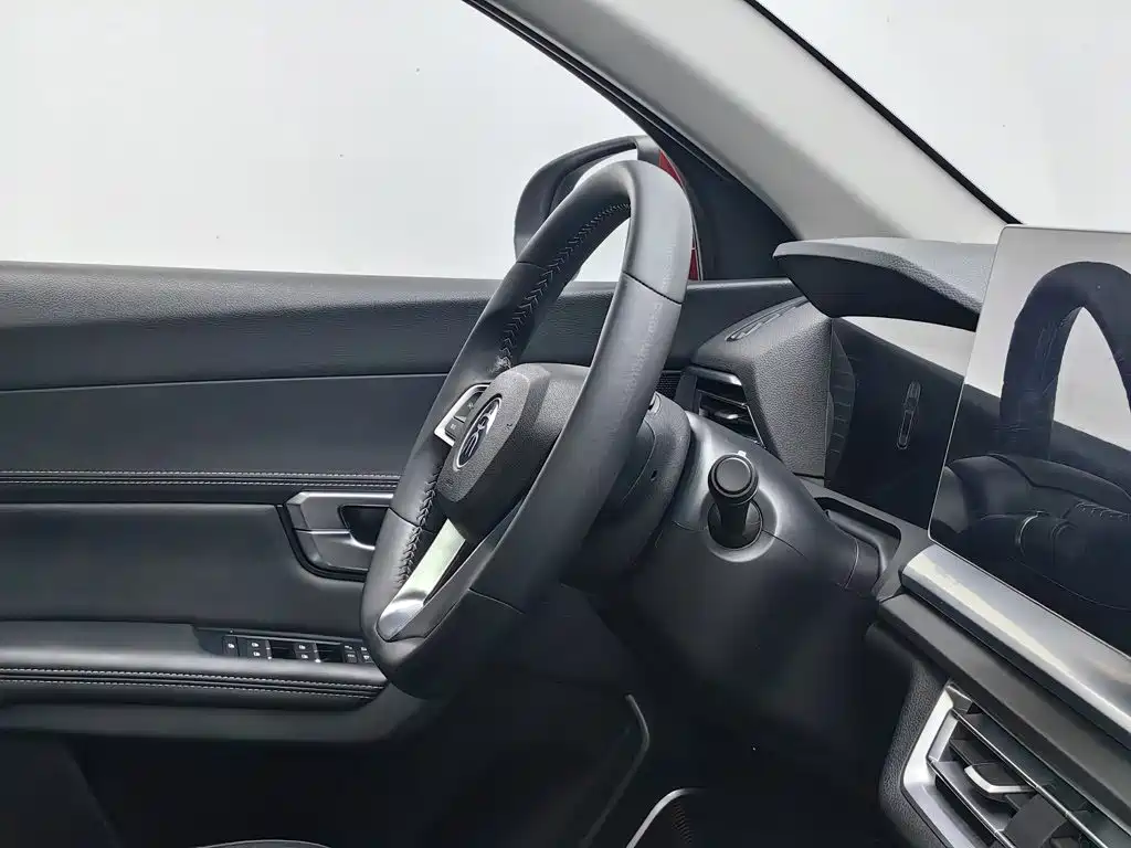 BYD Pro — миниатюра 22