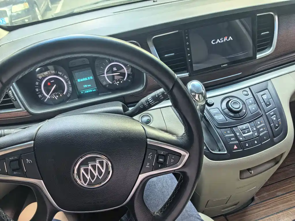 Buick GL8 — миниатюра 11
