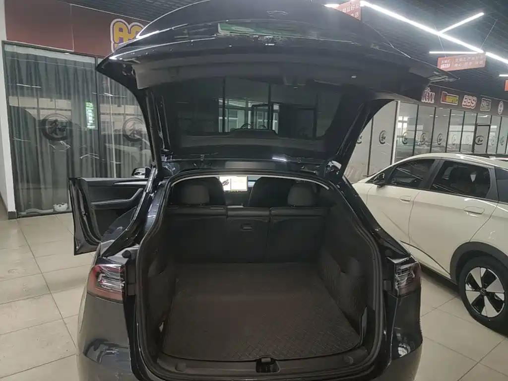 Tesla Model Y — миниатюра 19