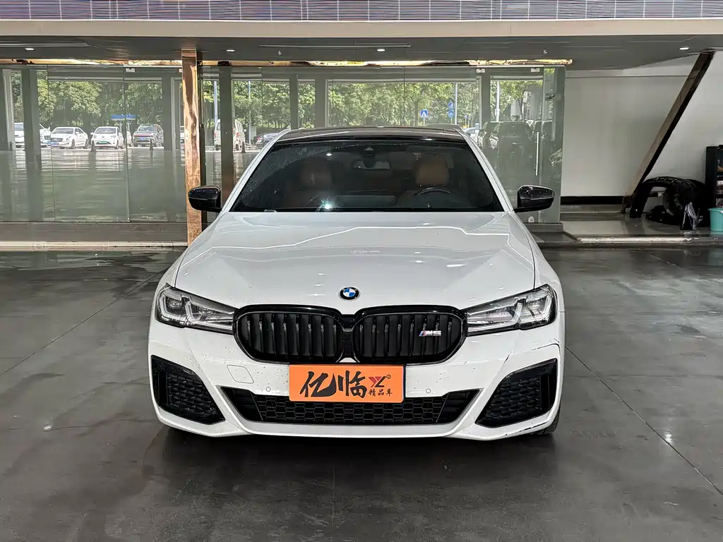 BMW 5 Series (Import) — миниатюра 2