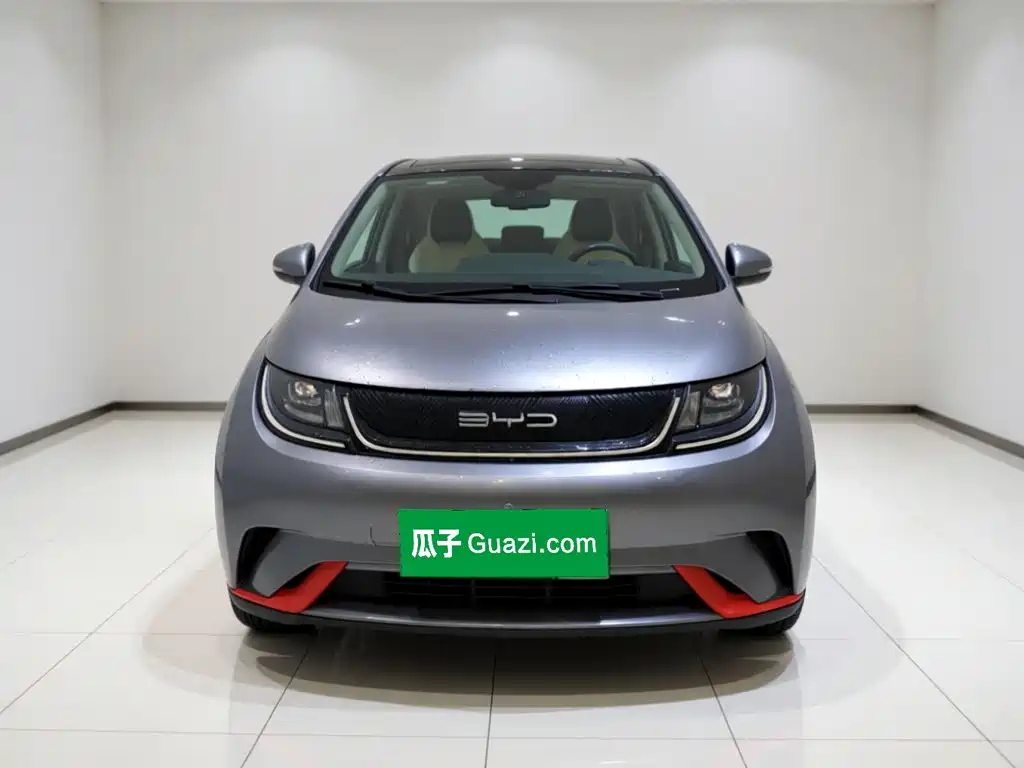 BYD Dolphin — миниатюра 2