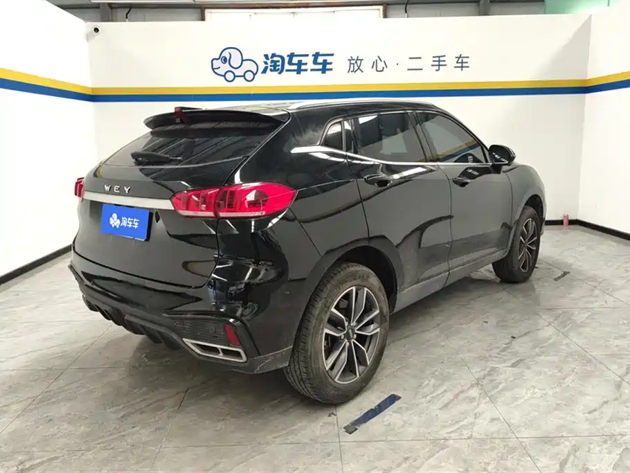 WEI PAI WEI BRAND VV5