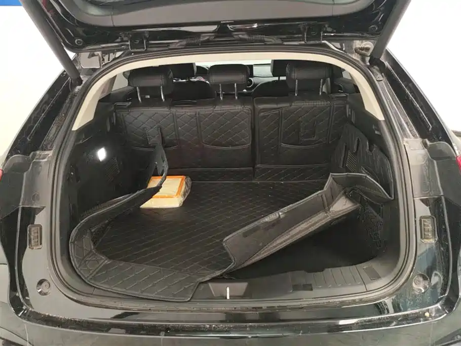 WEI PAI WEI BRAND VV5