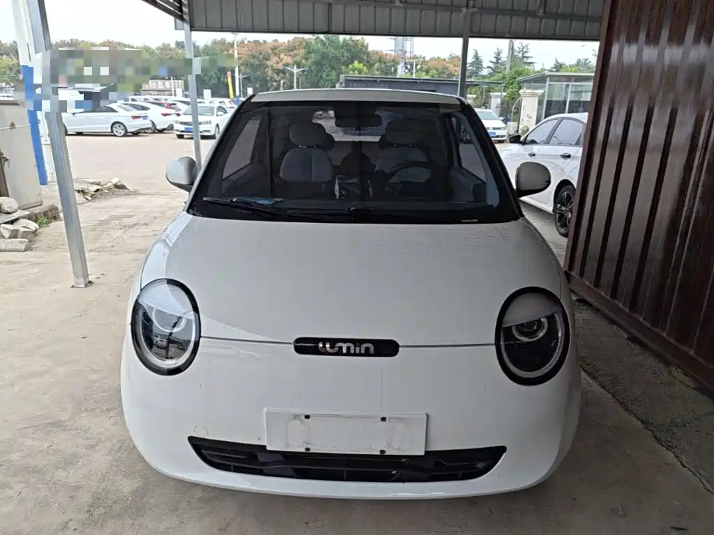 Qiyuan Lumin — миниатюра 3