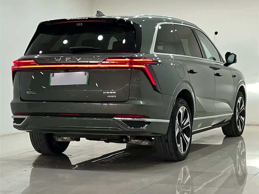 WEI PAI WEI BRAND BLUE MOUNTAIN