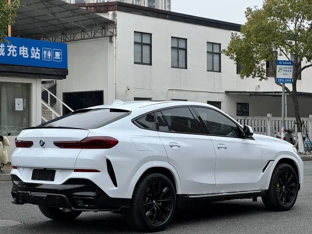 BMW X6