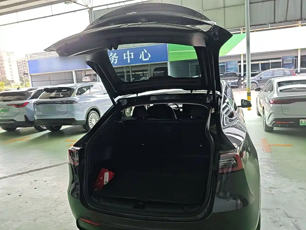 Tesla Model Y — миниатюра 19