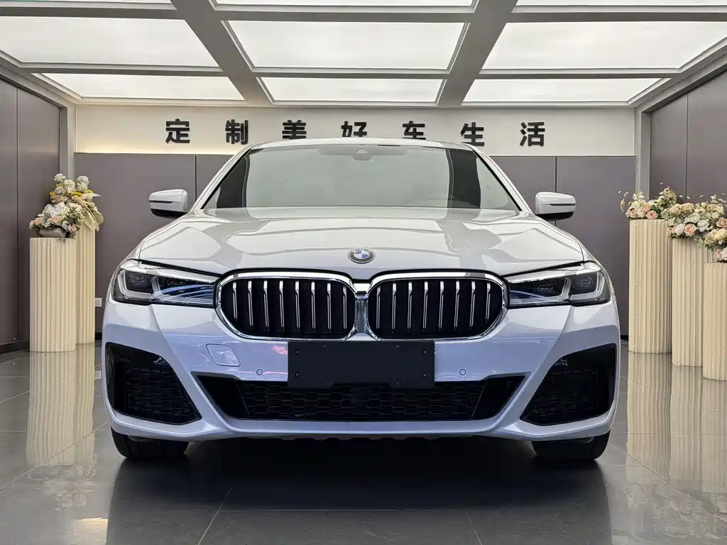 BMW 5 Series — миниатюра 2