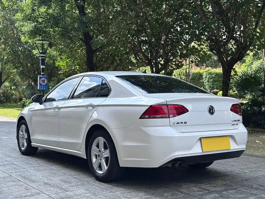 Volkswagen Lamando — миниатюра 7