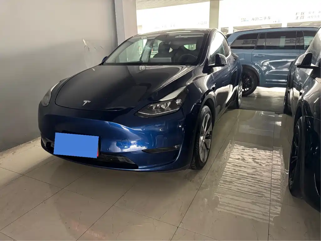 Tesla Model Y 2021 Standard Range RWD Edition