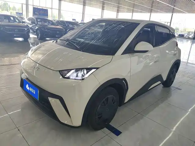2024 BYD Seagull