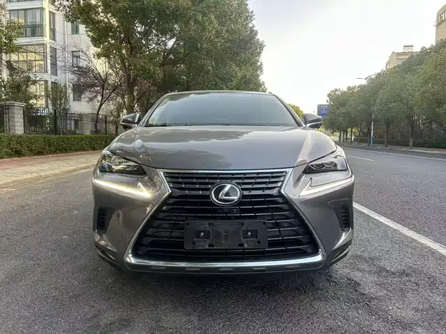 LEXUS NX 2019
