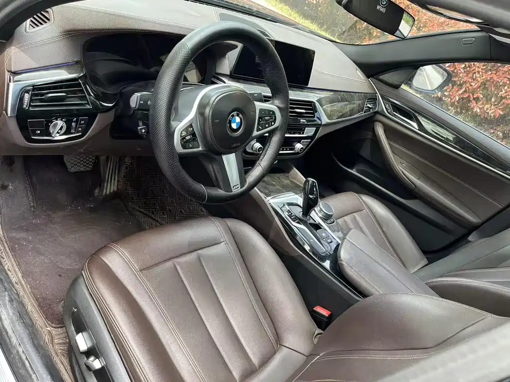 BMW 5 Series 5 2020 525Li M Sport