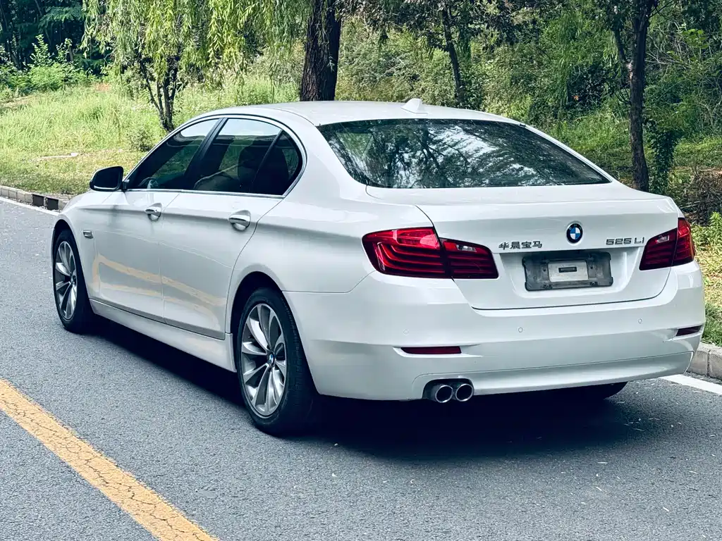 BMW 5 Series 5 2017 525Li Lead
