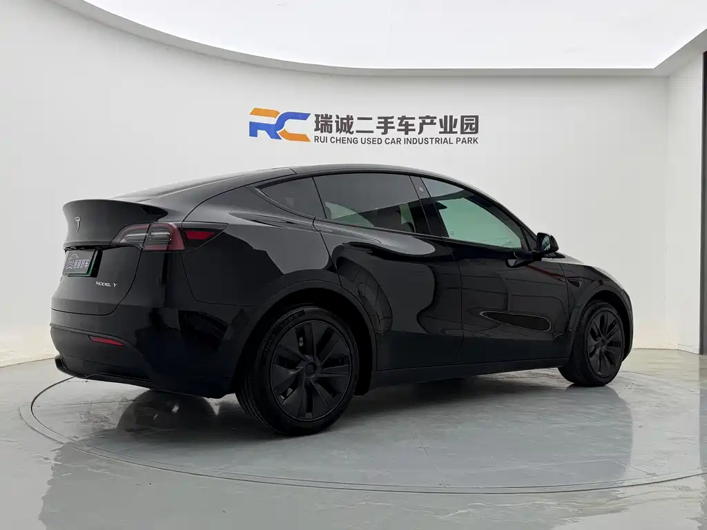 Tesla Model Y — миниатюра 4