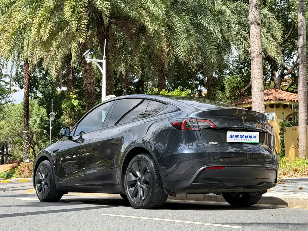 Tesla Model Y — миниатюра 3