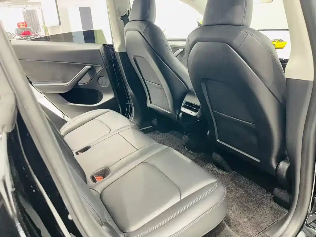 Tesla Model Y — миниатюра 6