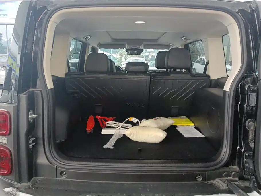 HAVAL RAPTORS NEW ENERGY