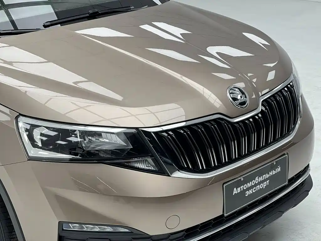 Skoda Kamiq — миниатюра 5