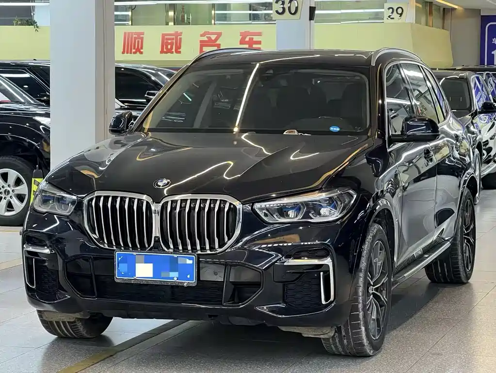 BMW X5 2022