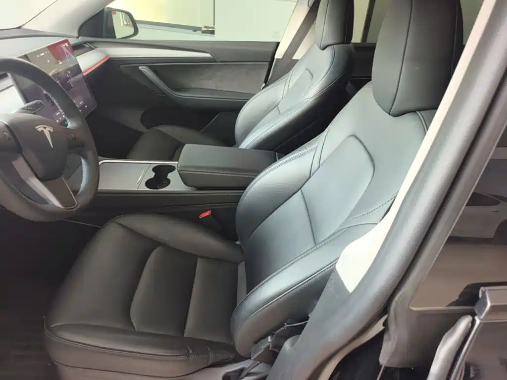 Tesla Model Y — миниатюра 15