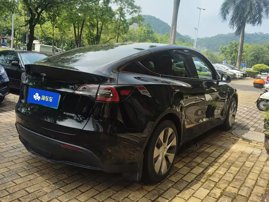 Tesla Model Y — миниатюра 3