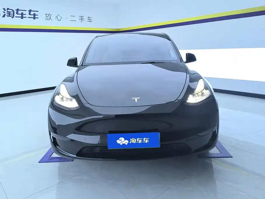 Tesla Model Y — миниатюра 2