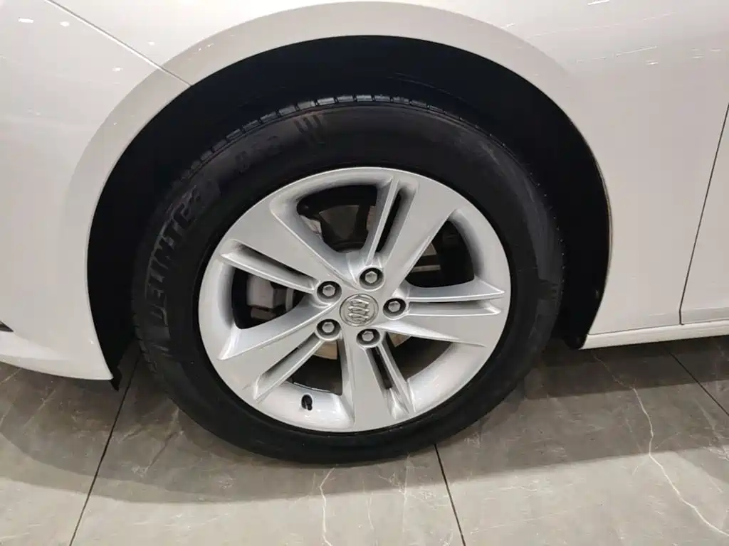 Buick Regal — миниатюра 23